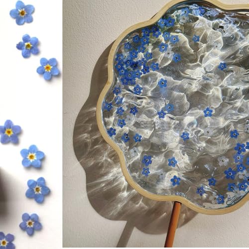 60 Pcs Natural Dried Forget Me Not Flowers for Jewelry Crafts Candle Making & Home Decor