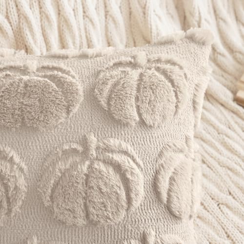 MIULEE Fall Pumpkin Pillow Covers 24x24 Inch Set of 2 Beige Autumn Decor
