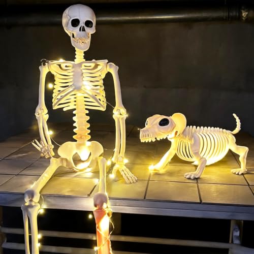 Lighted Human & Dog Skeleton Halloween Decorations Outdoor Indoor - 3FT with 2 Light Strings