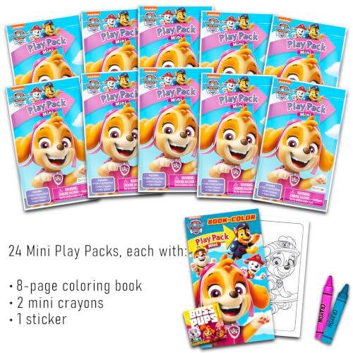 Paw Patrol Skye Party Favors Bundle - 24 Mini Activity Packs for Girls