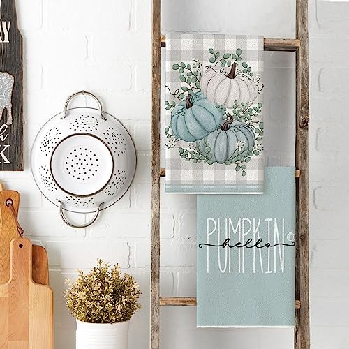 Blue Fall Pumpkins Kitchen Towels Set of 2 - 18x26 Inch Dish Cloths