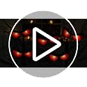 Solar Halloween Glowing Eyes Lights for Bushes & Trees - Red, 5 Pairs, Flash & Steady Modes