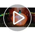 Fall Inflatable Highland Cow Couple with Pumpkin & Welcome Sign - 6 FT Outdoor Decor - Variation: Highland Cow