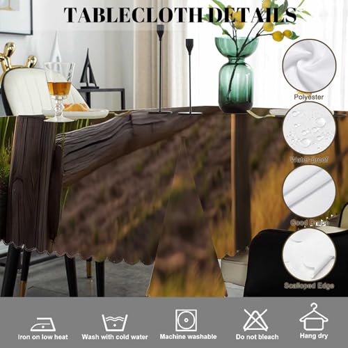 Rooster Tablecloth 52x70 Inch Rectangular Farmhouse Dining Decor - Sunrise Rooster Hen