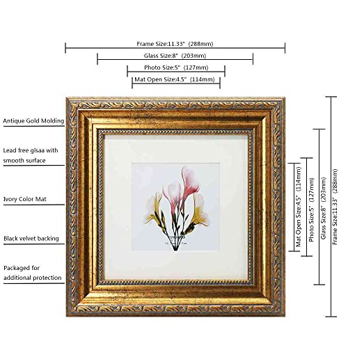 8x8 Photo Frame with Black Velvet Back Panel - Antique Gold Mat 5x5 Variation