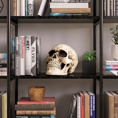 Large Life-Size Resin Skull for Halloween & Home Decor - White