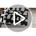 Halloween Ghost Comforter Set - Cute White Spooky Bedding for Kids & Teens Queen Variation 064