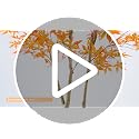 6FT Artificial Maple Tree with Pot - Fall Orange Leaves Indoor Outdoor