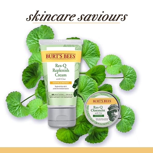 Burt's Bees Res-Q Ointment - 100% Natural Multipurpose Healing with Cica | 15g (Pack of 1)