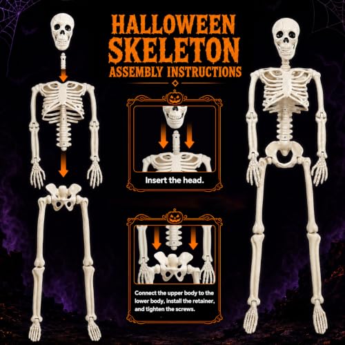 Halloween Skeleton Decoration Set - Life Size Posable Human Skeletons 4 Pack