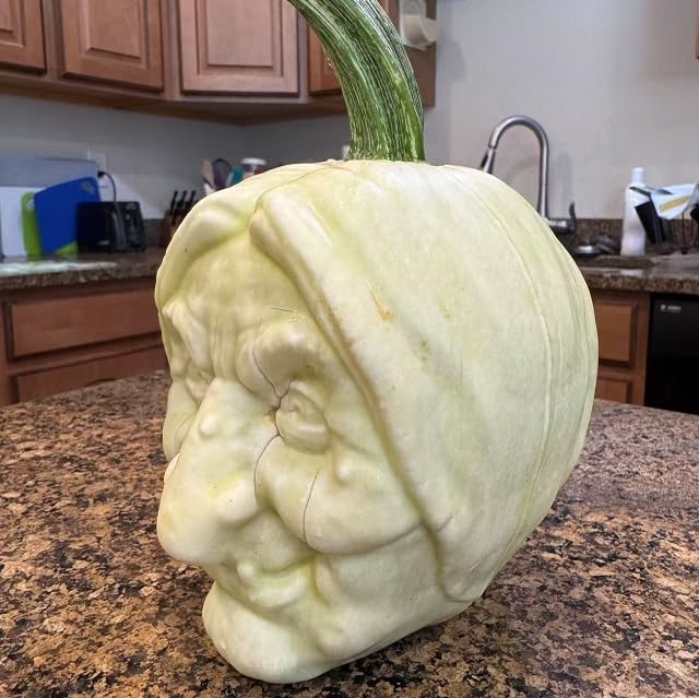 Witch-Shaped Pumpkin Mold Double Face for Growing Halloween Pumpkins and Watermelons