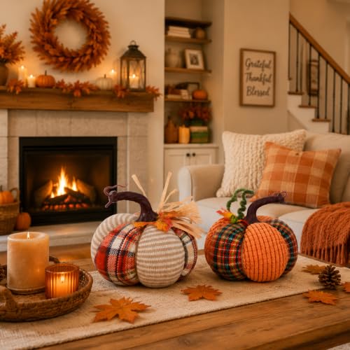 Fall Pumpkin Decor Set of 2 - Harvest Thanksgiving Farmhouse Autumn Decorations