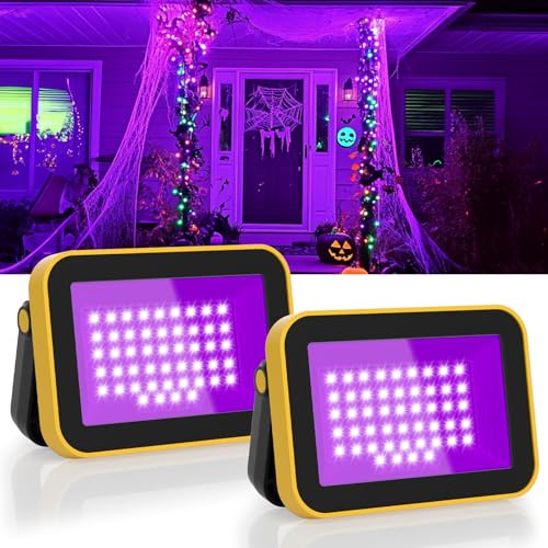 Rechargeable LED Black Lights - 2 Pack Portable Blacklight with 2 Modes