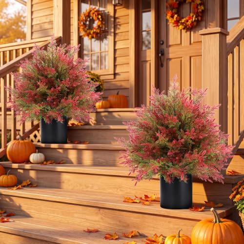 Artificial Fall Cedar Topiary Trees in Pot - Red & Green, 2 Pack Outdoor Faux Shrubs