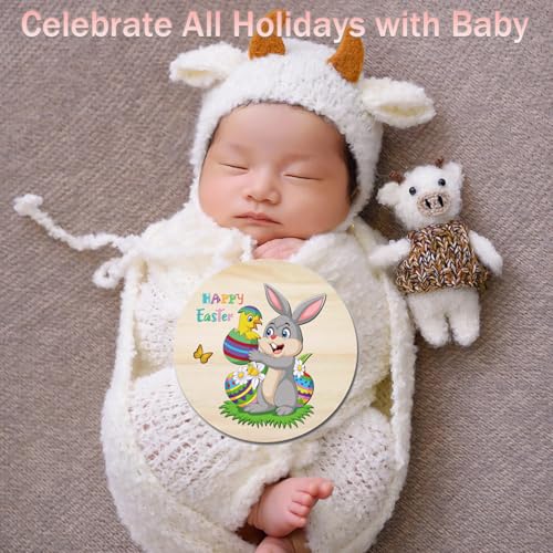 Pregnancy Announcement Interchangeable Holiday Table Sign Set - Seasonal Icons