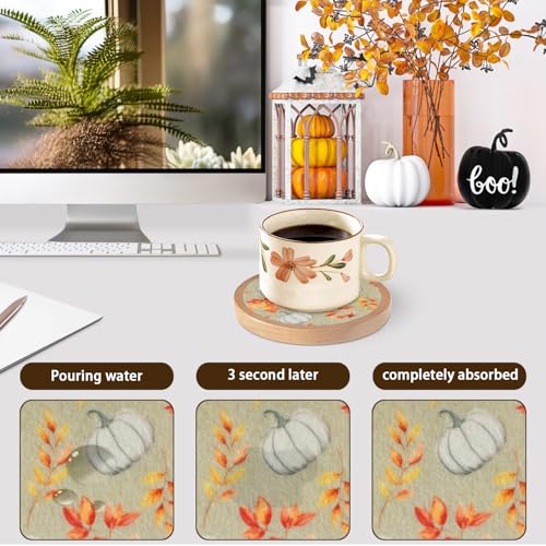 Pumpkins Coaster Set of 6 - Halloween Fall Round Drink Mats for Table Protection