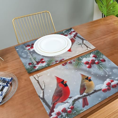 Winter Birds Placemat Set of 6 - Christmas Snow Poinsettia Berry Table Mats - 12x18 Inch, Washable & Fast Dry