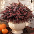 Fall Artificial Boxwood Plants Fake Greenery for Outdoor Decoration - Brown Variation