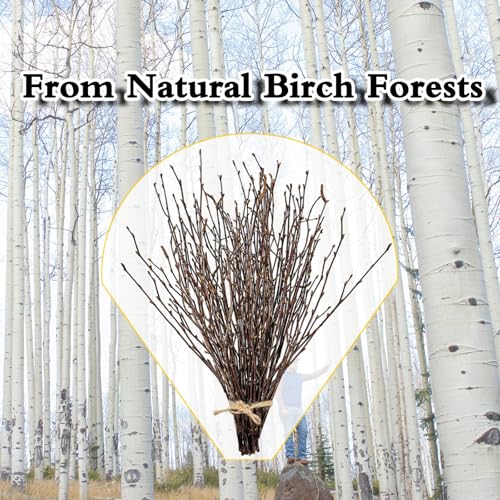 100Pcs 17 Inch Natural Birch Branches for Rustic Decor Wreath Making Crafts & DIY