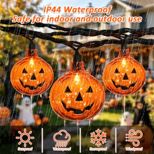Jack O Lantern LED Halloween Pumpkin String Lights - 12Ft, 20 Bulbs, Clear Variation