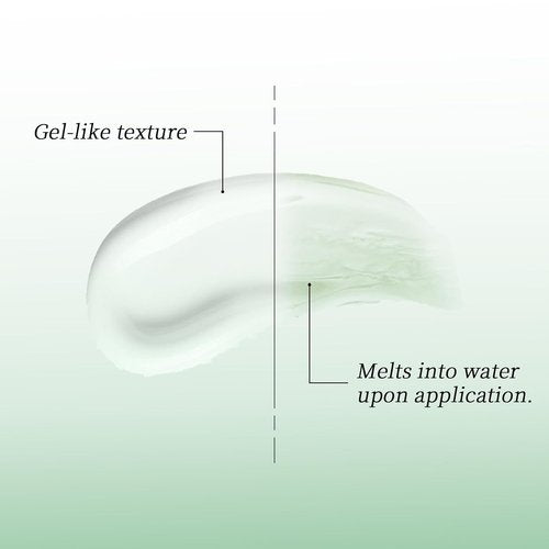 Skiennix Dry Shampoo - Oil Control Volumizing Gel with 24-Hour Oil Control | Cedar Scent (5ml x 5)