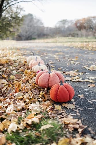 Large Fabric Pumpkin Decor - Terracotta Orange for Fall Halloween Thanksgiving - Tabletop Mantel Shelf Decoration