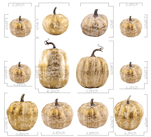 Gold Pumpkins Set of 12 with White Brush - Fall Thanksgiving Decor for Home & Outdoor