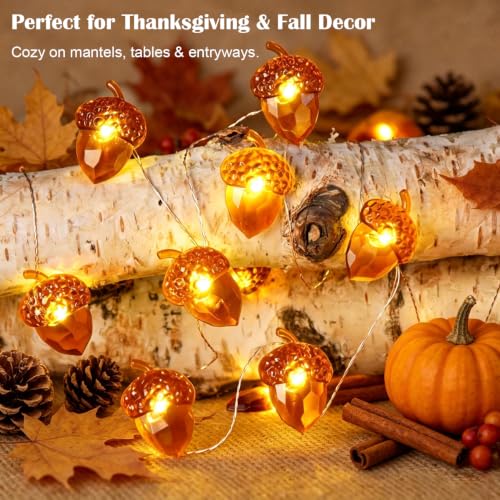 Battery Operated Fall Acorn String Lights 13ft 40 LEDs - Amber - Thanksgiving Decor