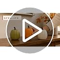 Fall Decor 3-Pack Resin Pumpkin Set - White Green Orange Small