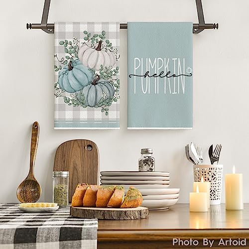 Blue Fall Pumpkins Kitchen Towels Set of 2 - 18x26 Inch Dish Cloths
