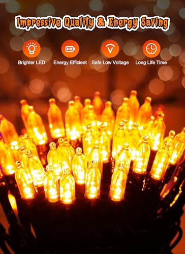 Brightown Orange Battery Operated String Lights with Timer - 1 Pack