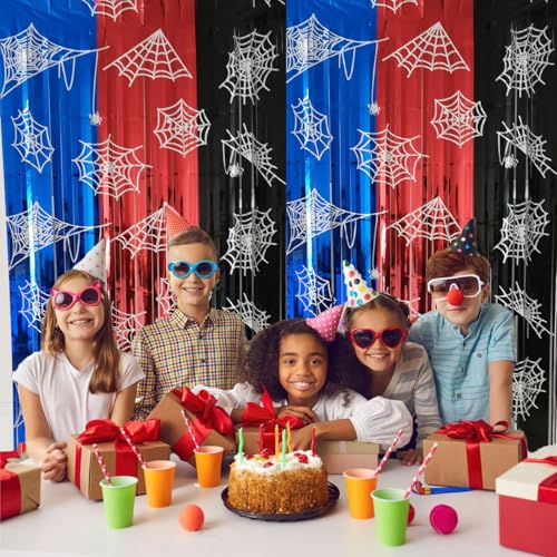Spider Web Birthday Decorations 2 Pack Foil Fringe Curtains - Blue, Red & Black Variation
