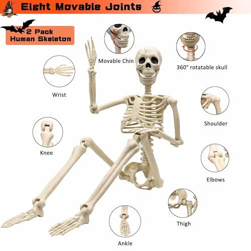 2 Pack 36-Inch Life Size Human Skeletons for Halloween Decorations - Movable Joints, Yard & Party Decor