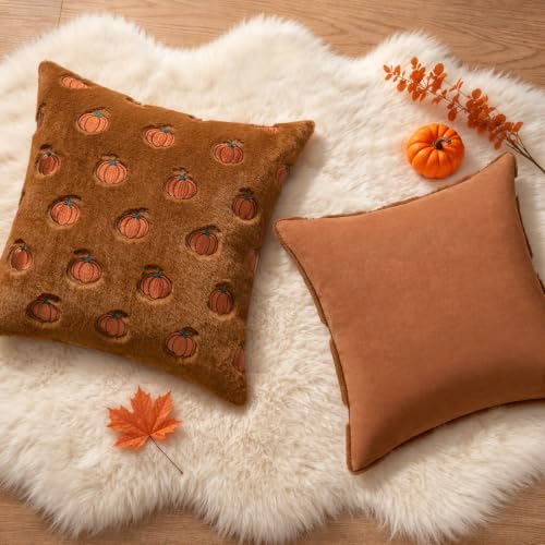 MIULEE Fall Pumpkin Pillow Covers 18x18 Pack of 2 - Rust Autumn Decor