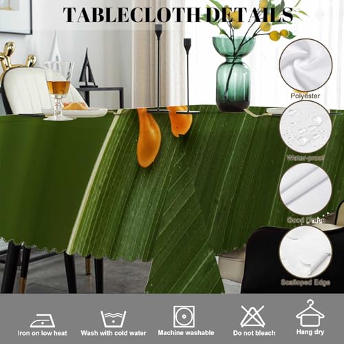 Tree Frog Tablecloth 52x70 Inch Rectangular Tropical Leaves Animal Decor