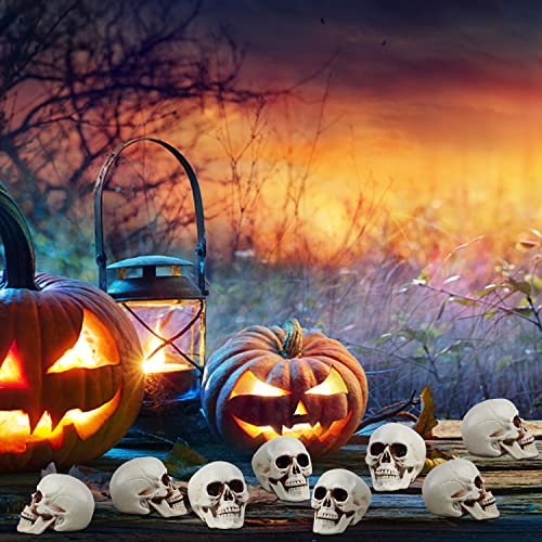 Halloween Skull Decorations 8pcs Mini Realistic Human Skulls for Haunted House & Party - Variation of 2.75 Inch