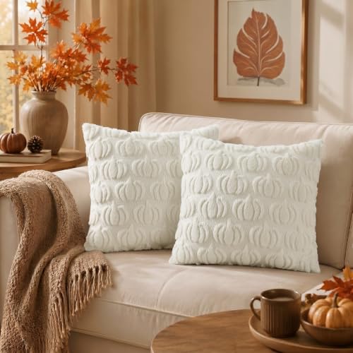 Cream White Pumpkin Throw Pillow Covers 20x20 Set of 2 - Fall Decor