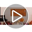 Halloween Wall Art Framed with 3D Bats - Orange Sign for Indoor Decor