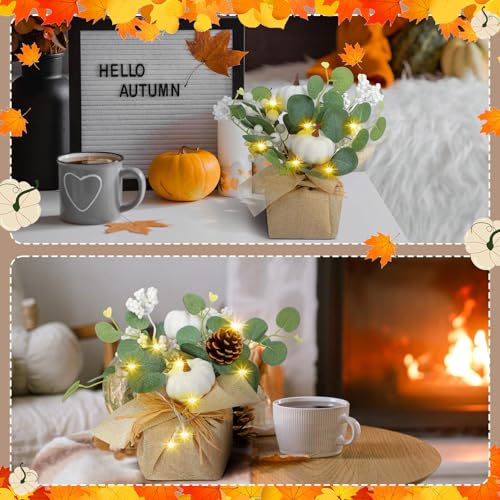 Autumn Fall Decorations Set with Pumpkins Eucalyptus & LED Lights for Thanksgiving & Table Centerpieces