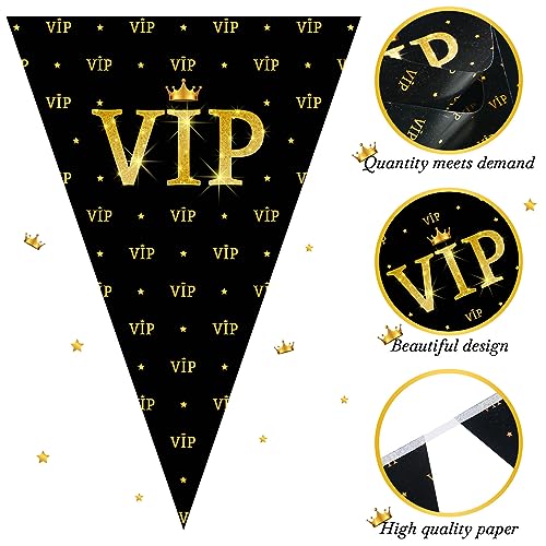 VIP Pennant Banners - Movie Night Party Decorations, 49 ft Long