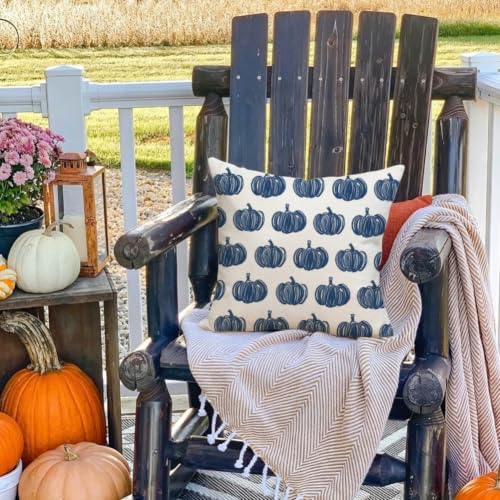 Outdoor Pillow Covers 18x18 Waterproof Blue Pumpkin Set of 2 Fall Decor