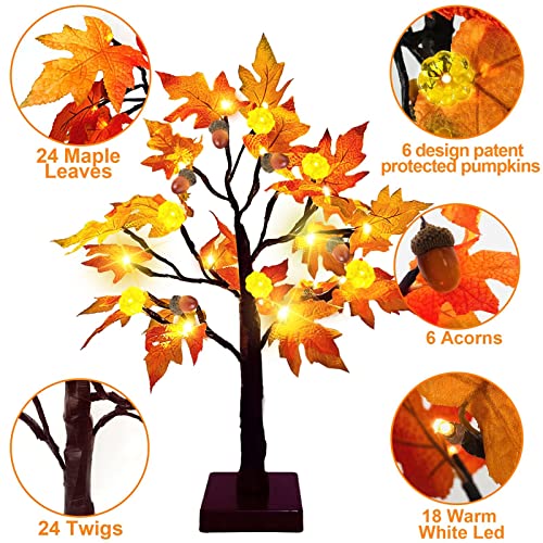 Prelit 22-Inch Fall Maple Tree with LED Pumpkin Lights - Autumn Halloween Decor