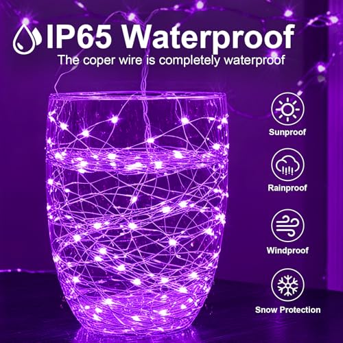 Purple 2 Pack USB Fairy String Lights 16ft with Remote & Timer - Indoor Outdoor Decor