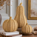 3-Piece Wicker Pumpkin Set for Fall Decor - Rustic Autumn Decoration