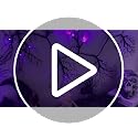 Halloween Willow Vine Garland with Purple LED Lights - 9 Ft Indoor Decor with Timer & 8 Modes