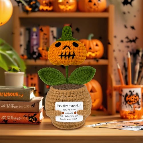 Crochet Pumpkin Planter - Funny Positive Halloween Fall Home Decor Gift