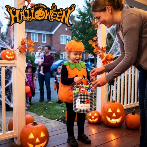 Halloween Trick or Treat Candy Basket - Black White Gingham Variation