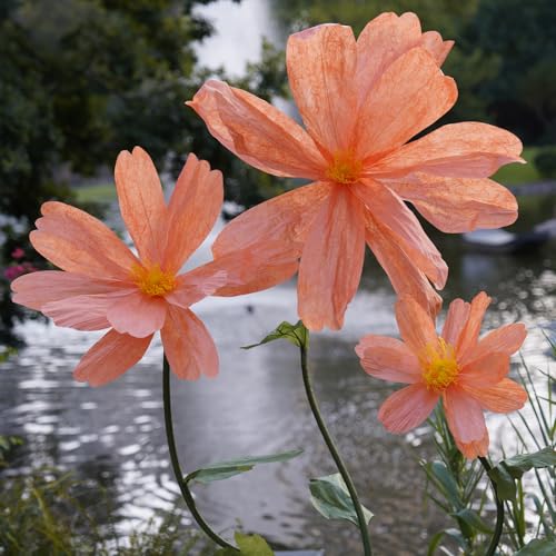 Orange Giant Paper Daisy Flowers for Decoration, Large Artificial Floral Props