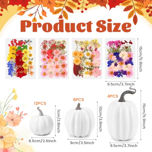 White Artificial Pumpkin Craft Kit with Dried Flowers, 24 Pieces