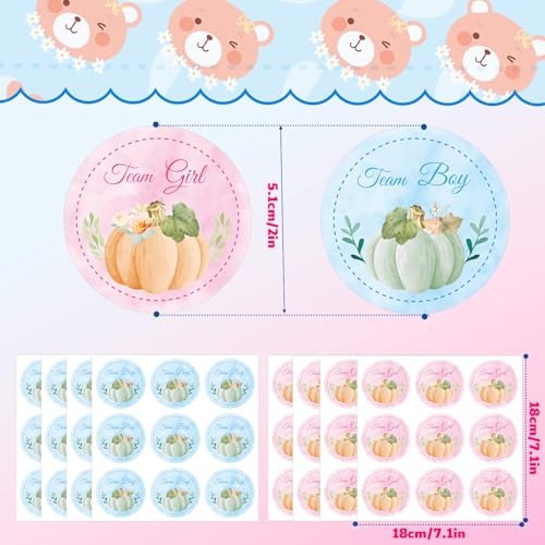 72pcs Pumpkin Gender Reveal Stickers - Team Boy & Team Girl Fall Party Decorations - Style 1
